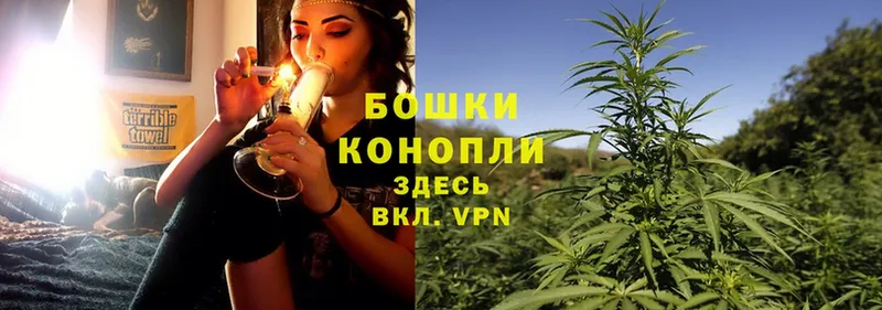 Конопля SATIVA & INDICA  гидра вход  Асино  закладки 